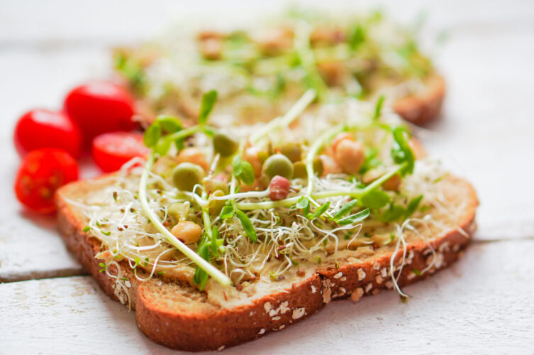 Grow Alfalfa Sprouts At Home for These Delicious Alfalfa Sprout Recipes